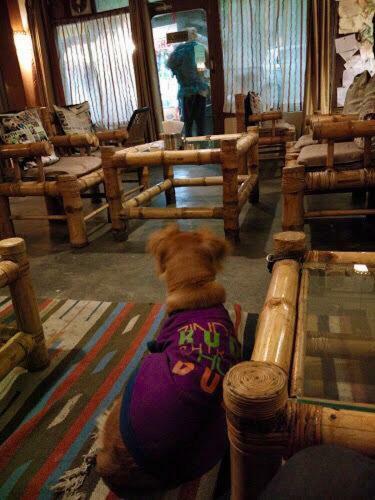 Drifter'S Inn & Cafe มะนาลี ภายนอก รูปภาพ